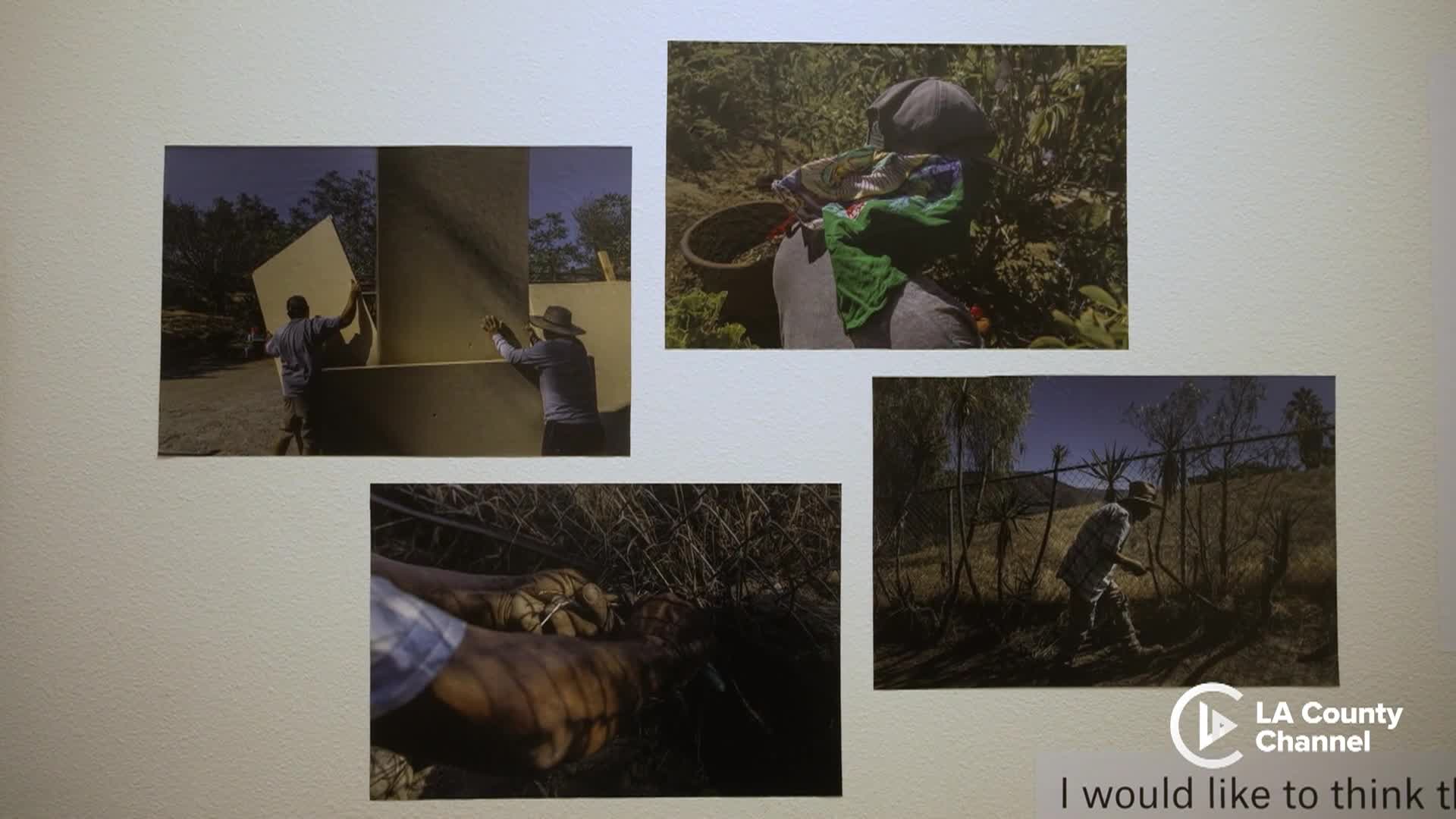 LA County CloseUp, Week of 11/24/25