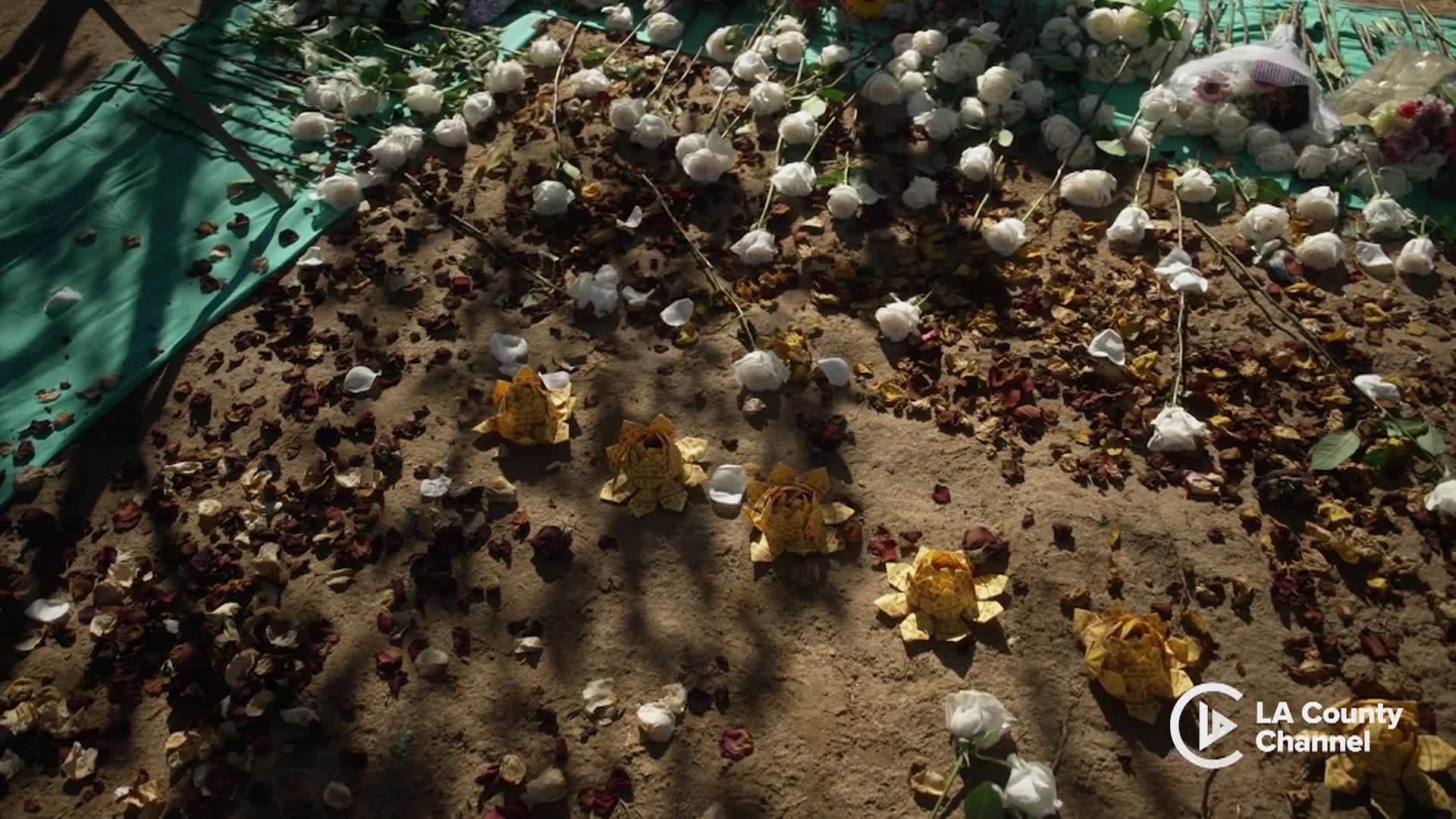 Thumbnail image for LA County CloseUp, Week of 1/12/26